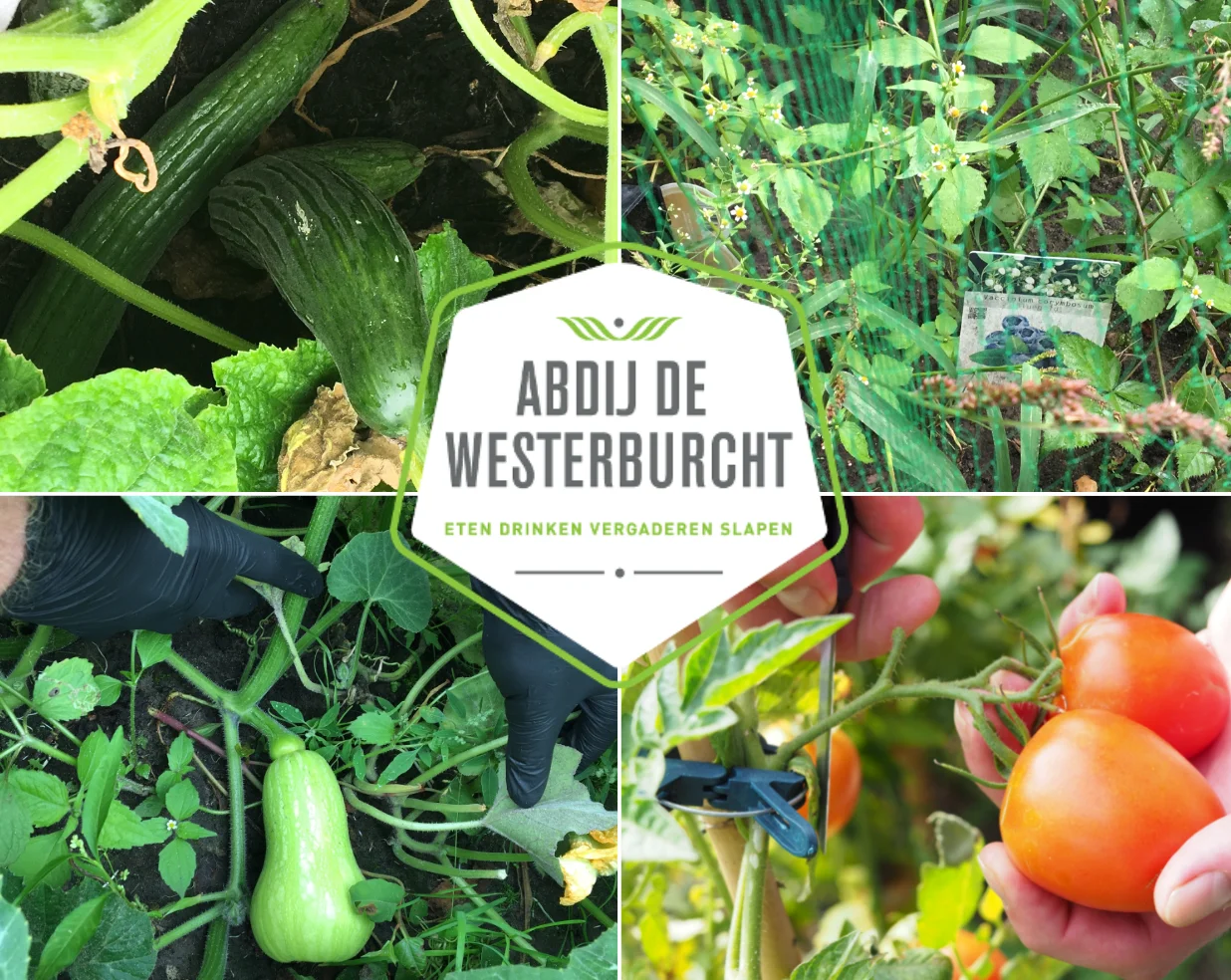 Abdij de Westerburcht: Sleeping in a sustainable location!