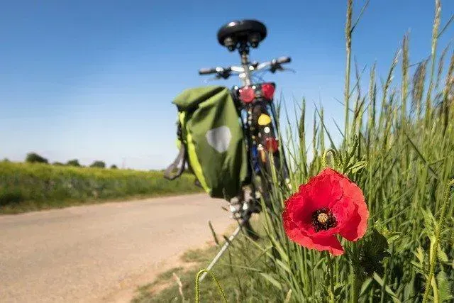Privately Owned Bicycle Package| Discover the magic of Drenthe