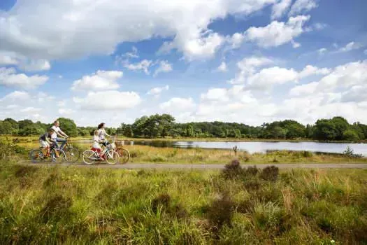 Cycling and Hiking | Discover drenthe on foot or by bike