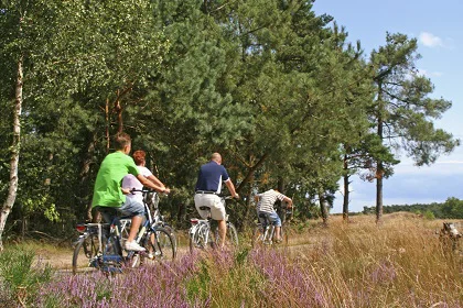 Cycling and accommodation | In the heart of Drenthe