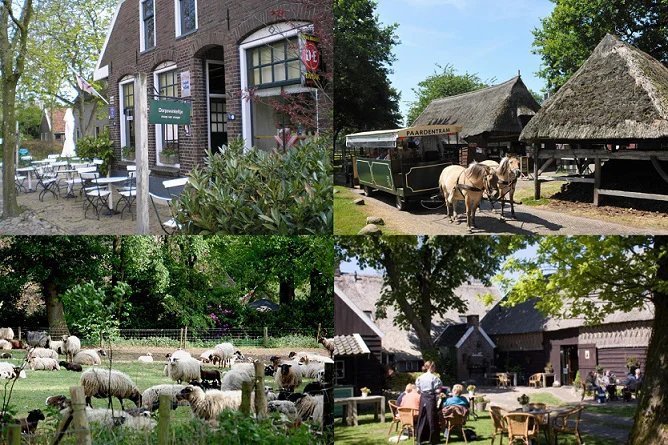 Hotel Drenthe | Come and enjoy in our Hotel 