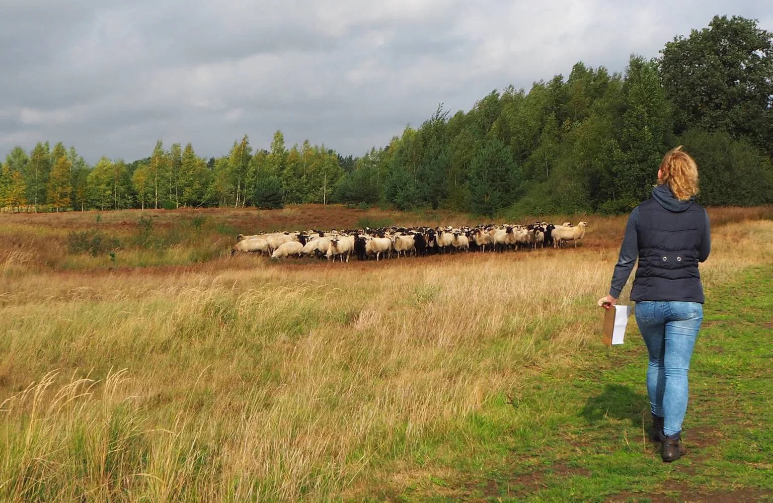 Active excursions in Drenthe for all ages